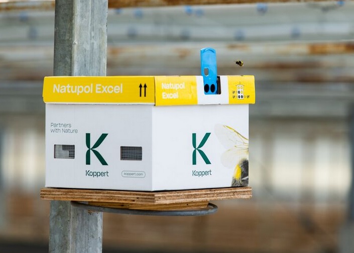 Colmeias de abelhões Koppert: nova imagem, qualidade de confiança